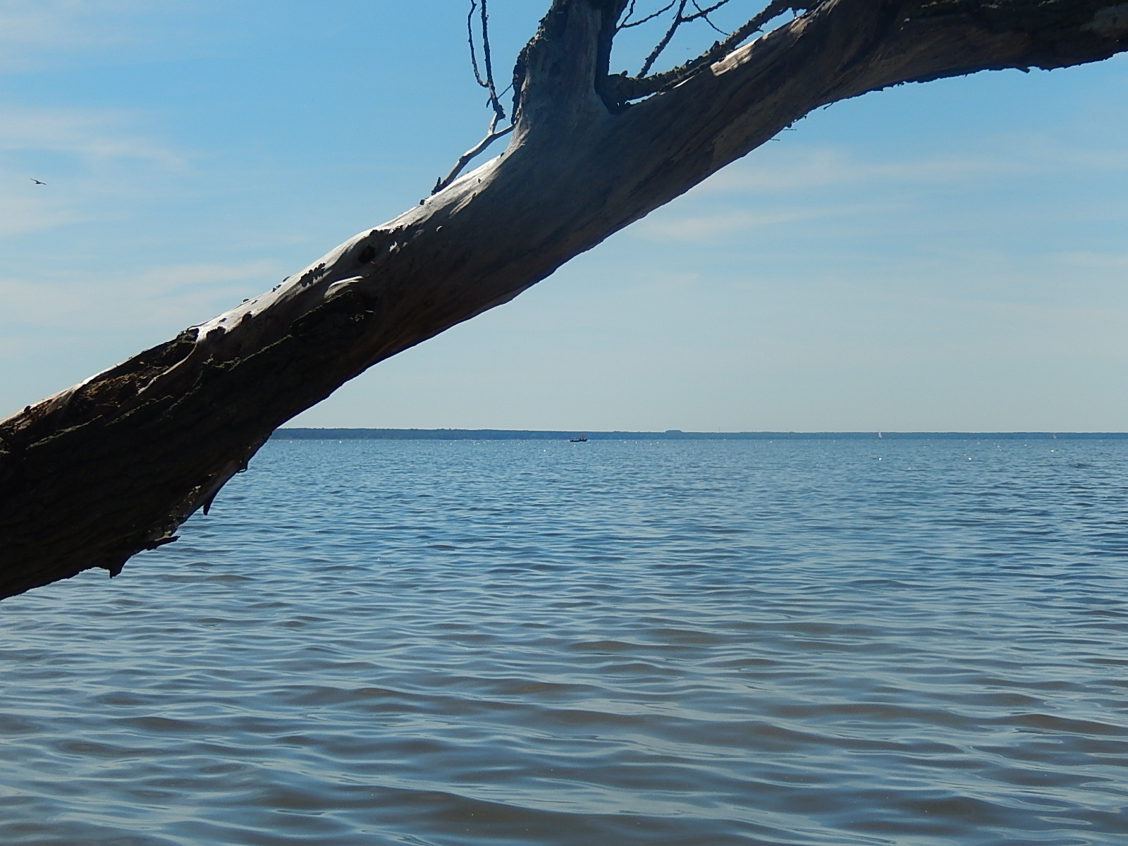 Pobřežní linie a přístup k vodě